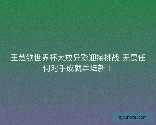 王楚钦世界杯大放异彩迎接挑战 无畏任何对手成就乒坛新王