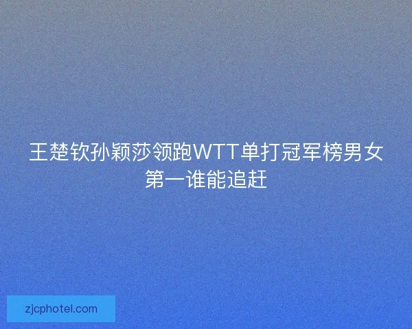 王楚钦孙颖莎领跑WTT单打冠军榜男女第一谁能追赶